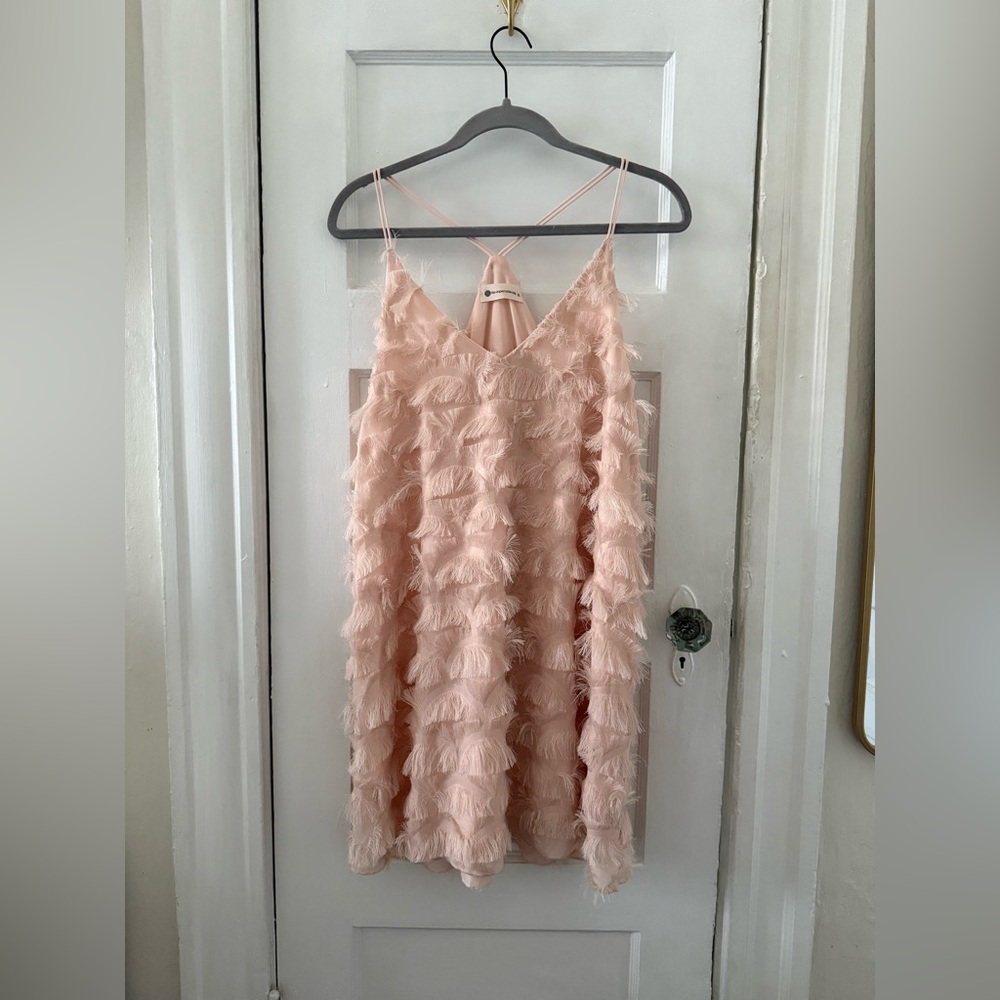 Impeccable Pig | Feathered Eyelash Slip Mini Dress